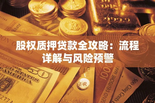 武汉股权质押贷款全攻略：流程详解与风险预警
