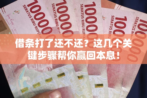 武汉借条打了还不还？这几个关键步骤帮你赢回本息！