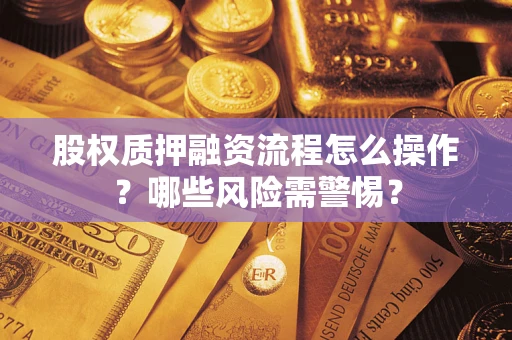 武汉股权质押融资流程怎么操作？哪些风险需警惕？