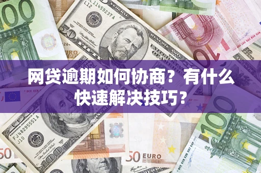 武汉网贷逾期如何协商？有什么快速解决技巧？