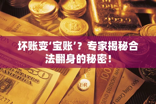 武汉坏账变‘宝账’？专家揭秘合法翻身的秘密！