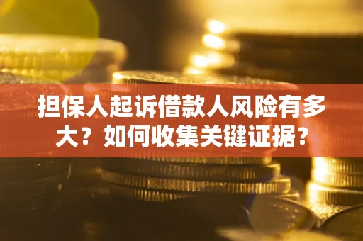 武汉担保人起诉借款人风险有多大？如何收集关键证据？