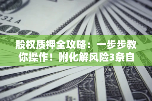 武汉股权质押全攻略：一步步教你操作！附化解风险3条自救法则
