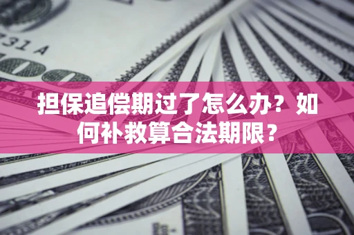 武汉担保追偿期过了怎么办？如何补救算合法期限？