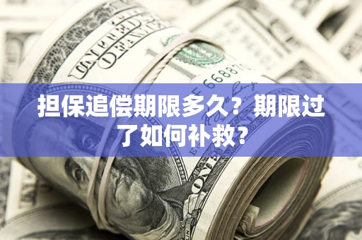 武汉担保追偿期限多久？期限过了如何补救？