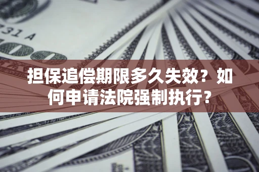 武汉担保追偿期限多久失效？如何申请法院强制执行？