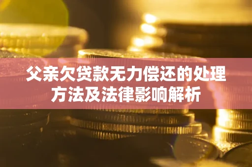 武汉父亲欠贷款无力偿还的处理方法及法律影响解析