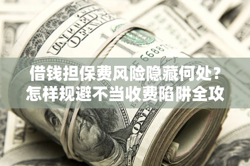 武汉借钱担保费风险隐藏何处？怎样规避不当收费陷阱全攻略！