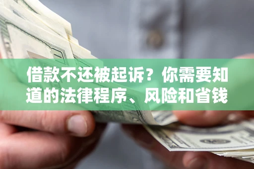 武汉借款不还被起诉？你需要知道的法律程序、风险和省钱技巧