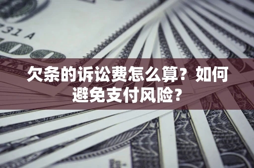 武汉欠条的诉讼费怎么算？如何避免支付风险？